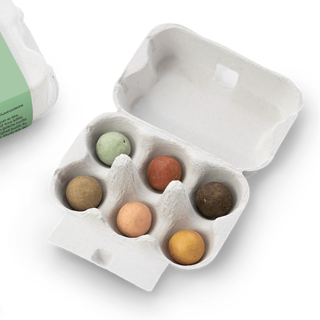 Eierschachtel mit Samenkugeln - Blumen für dich