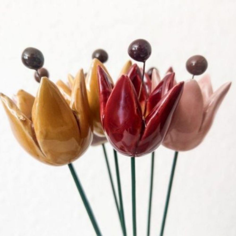 Tulpe
