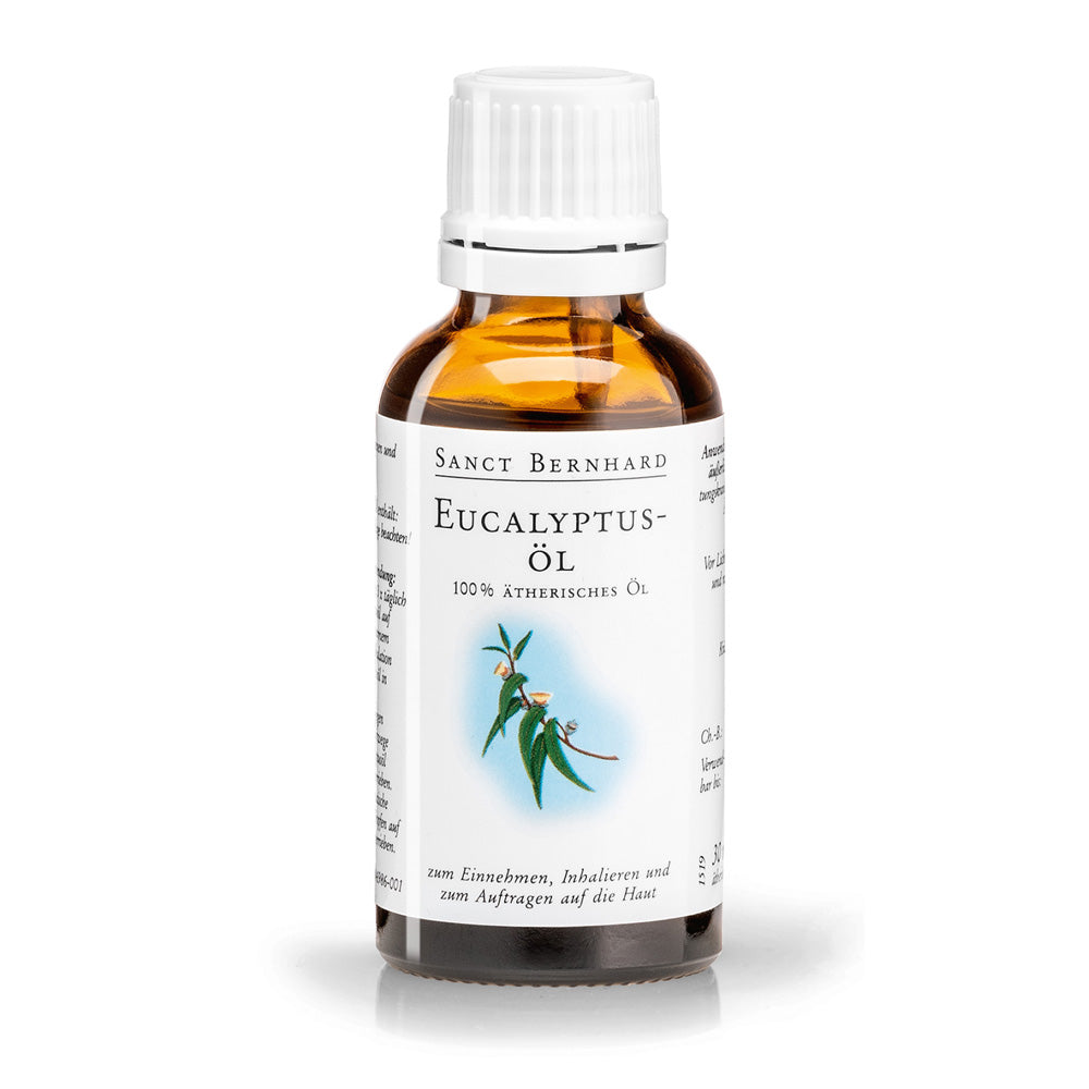 Eucalyptus ätherisches Öl