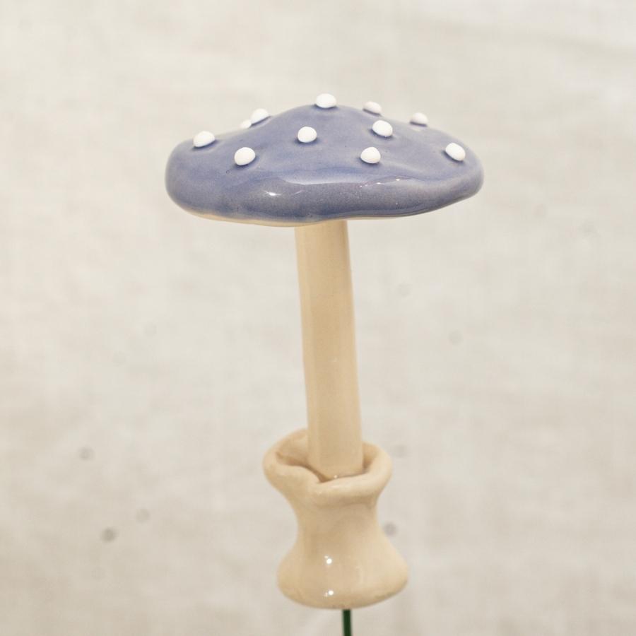 Fliegenpilz