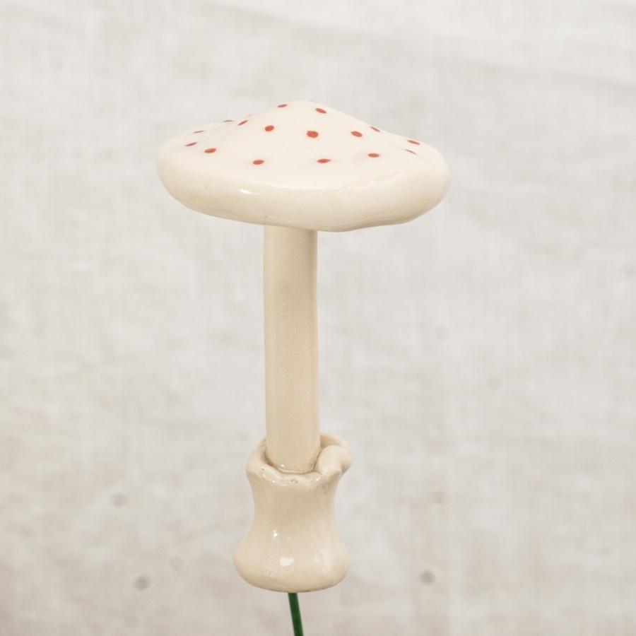 Fliegenpilz