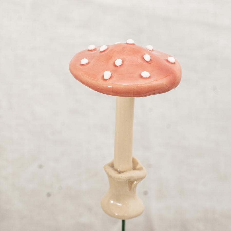 Fliegenpilz