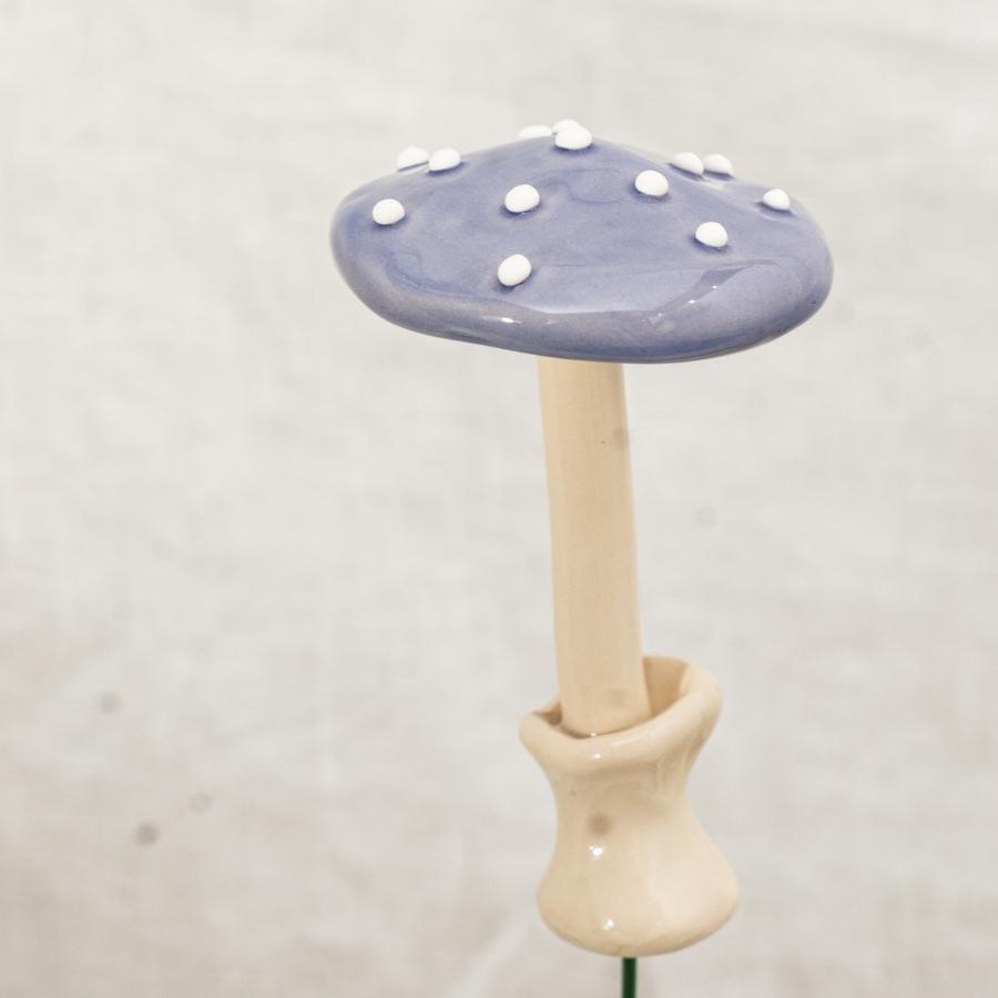 Fliegenpilz