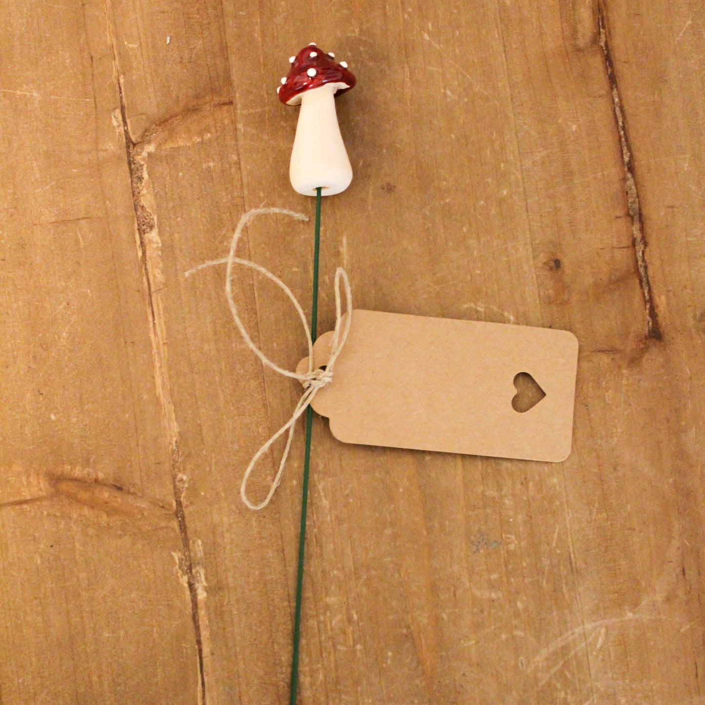 Glückspilz am Stiel