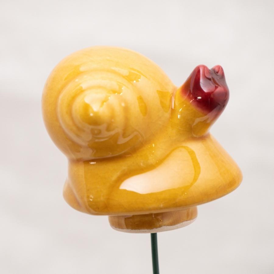 Schnecke