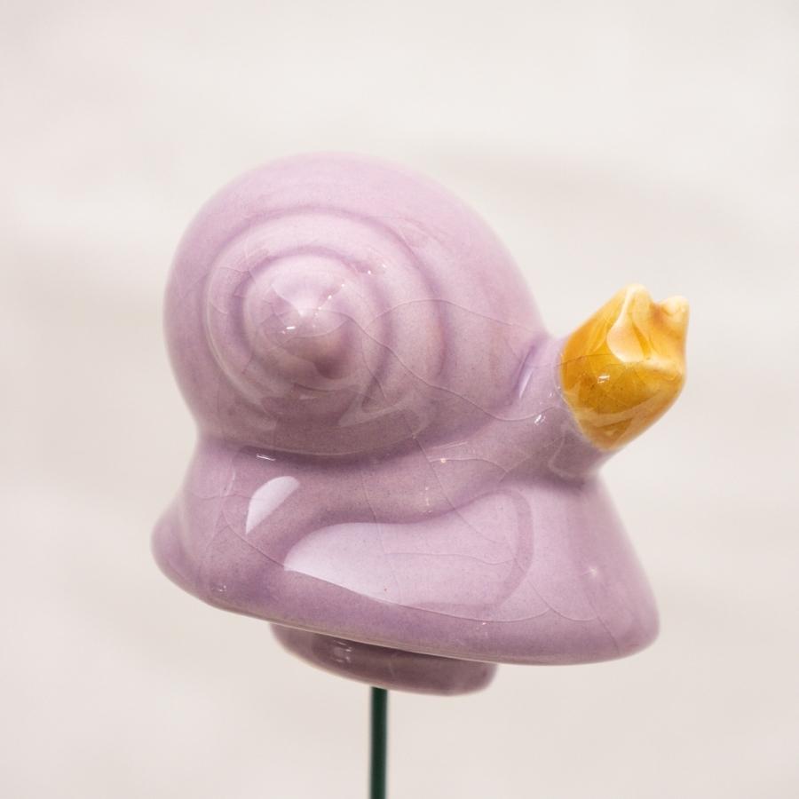 Schnecke