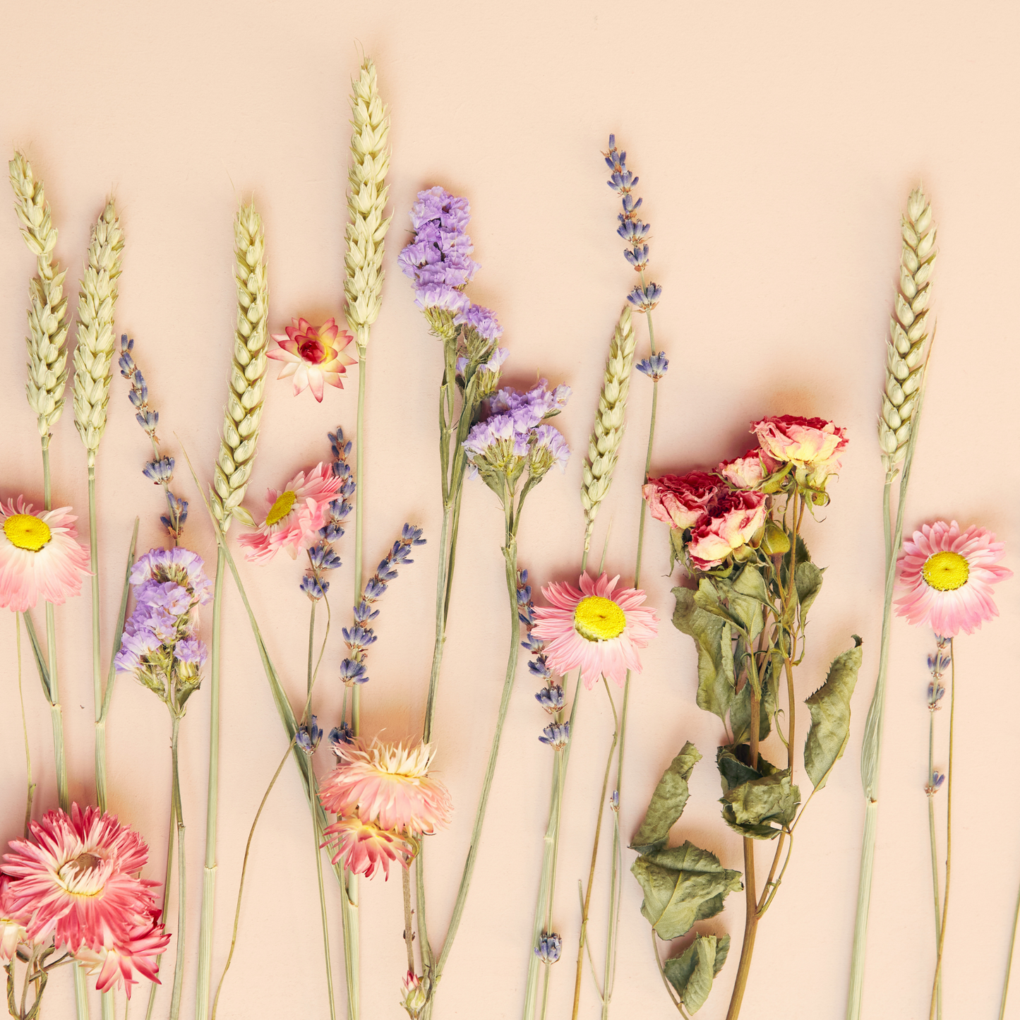 Trockenblumen Geschenkbox Emma - rosa