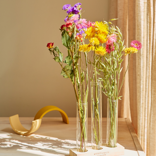 Trockenblumen Geschenkbox mit Vasen Sophia - multi
