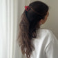 Ava Clip