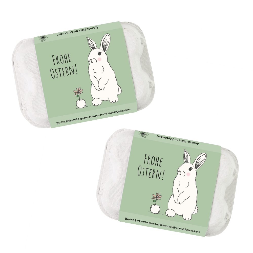 Eierschachtel mit Samenkugeln - Frohe Ostern