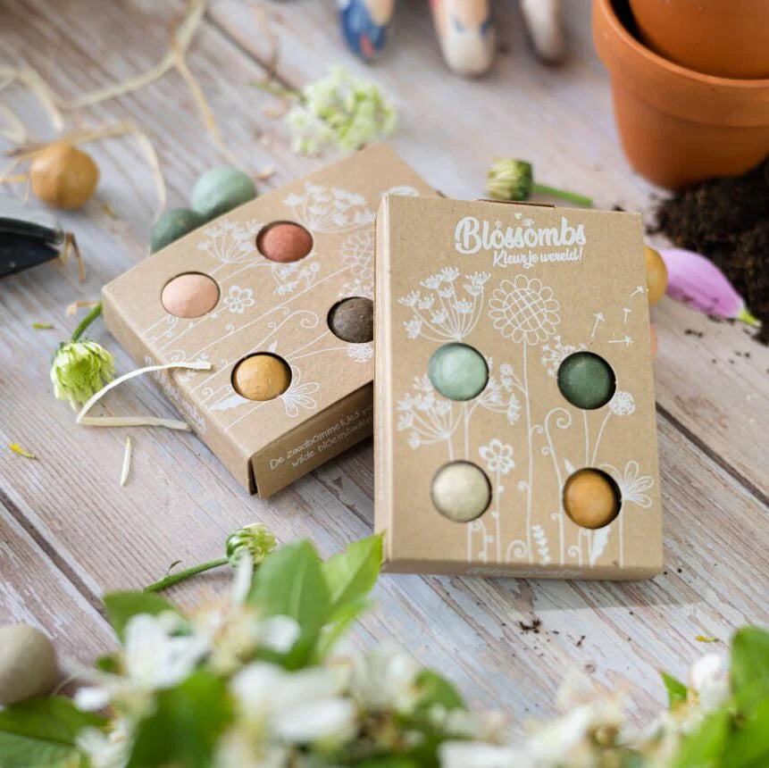 Geschenkbox klein mit Samenkugeln - Blumen für dich