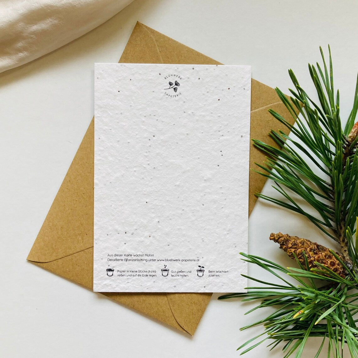 Einpflanzbare Weihnachtskarte aus handgemachtem Saatpapier | Kaktus