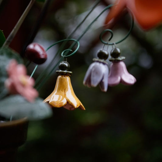 Glockenblume
