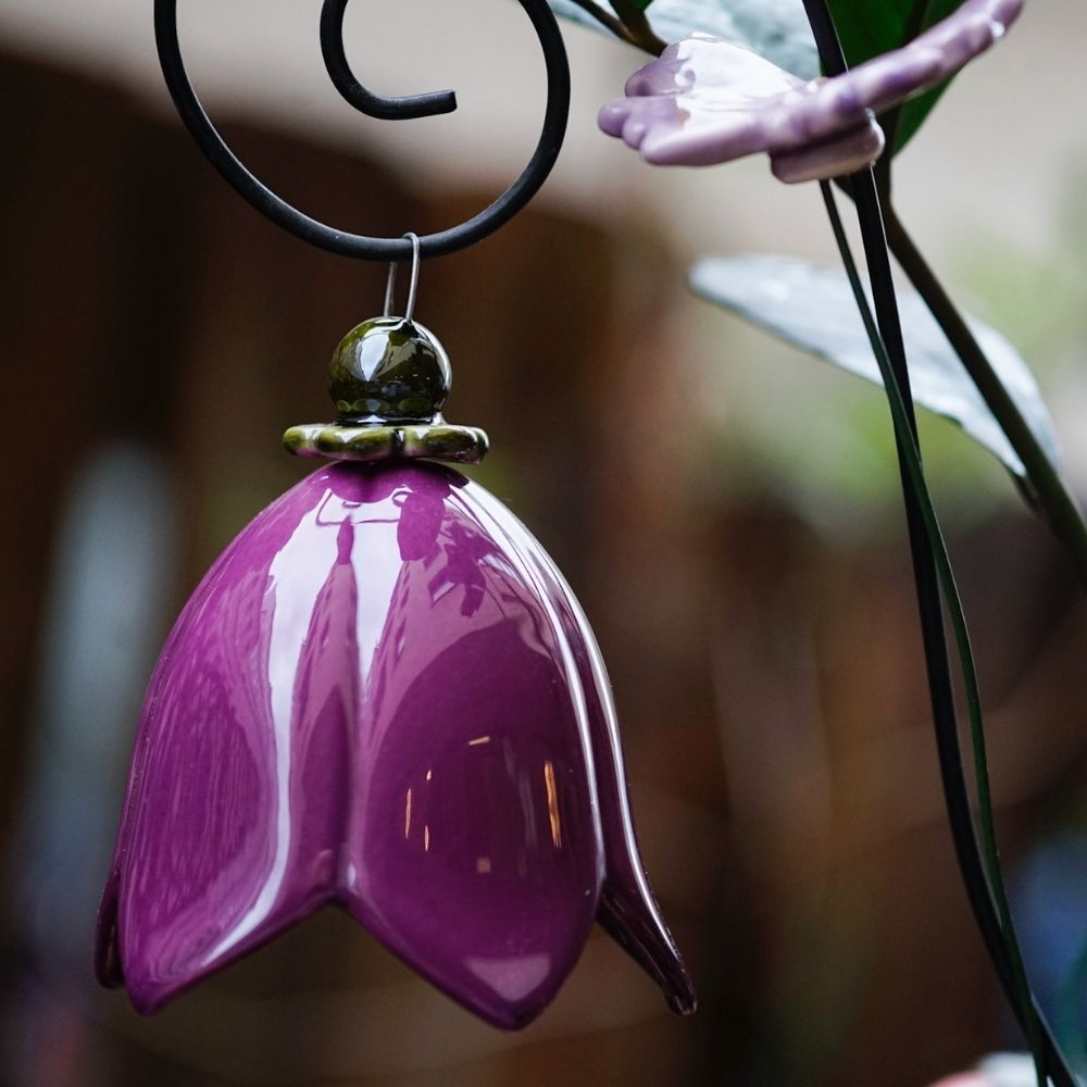 Glockenblume Outdoor