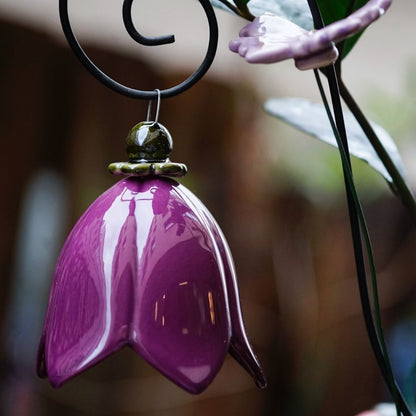 Glockenblume Outdoor