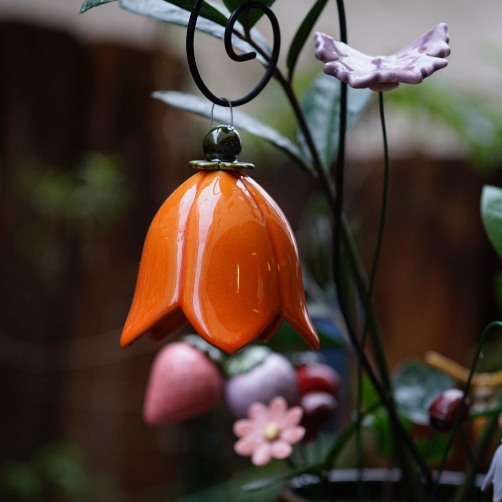 Glockenblume Outdoor