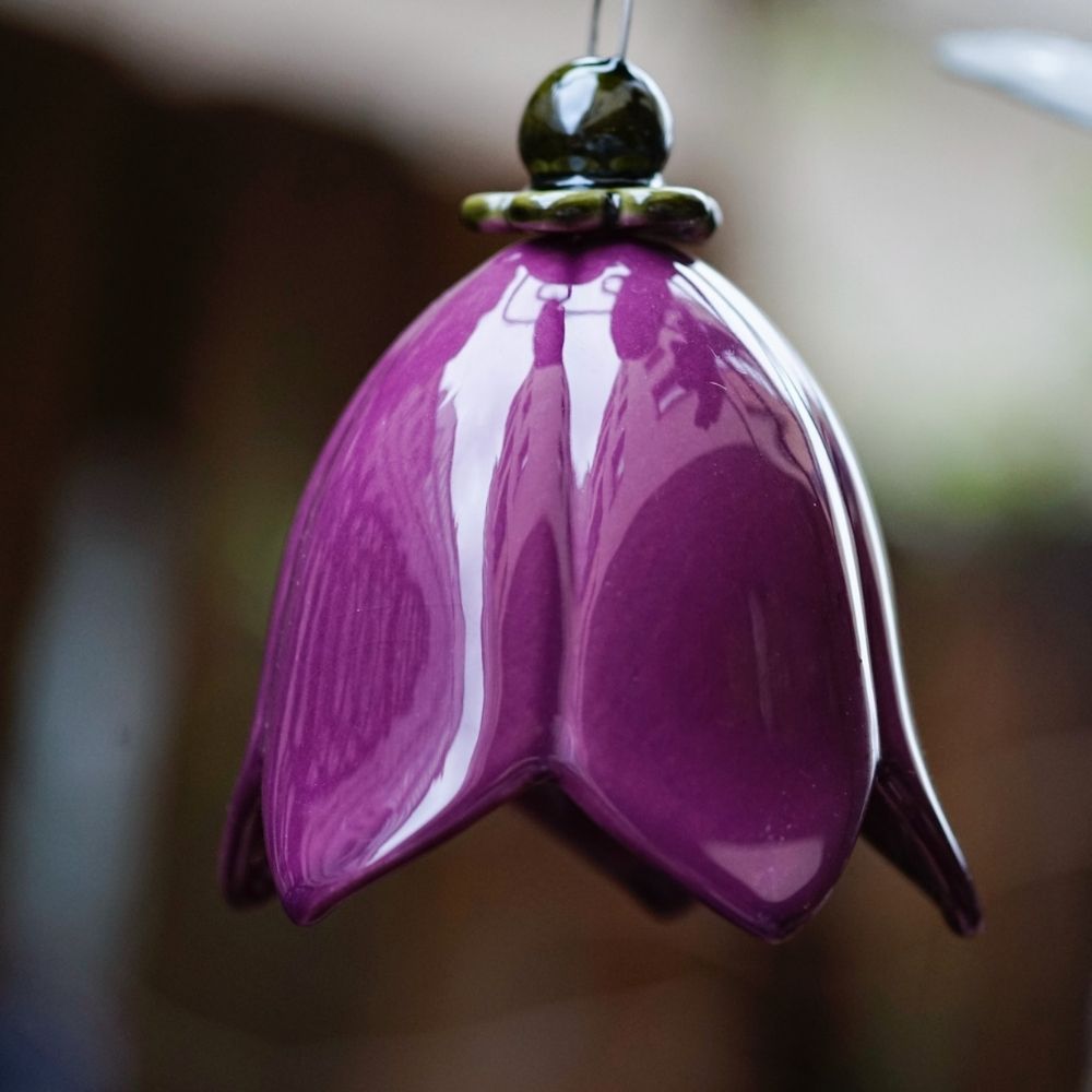 Glockenblume Outdoor