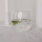 Trinkglas Daisy