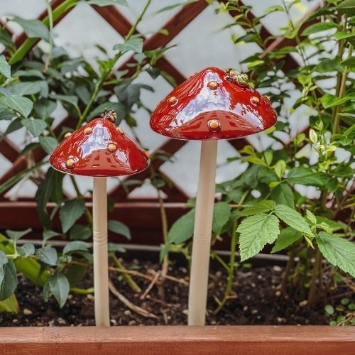 roter Pilz für Balkon und Garten