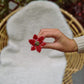 Weihnachtsstern